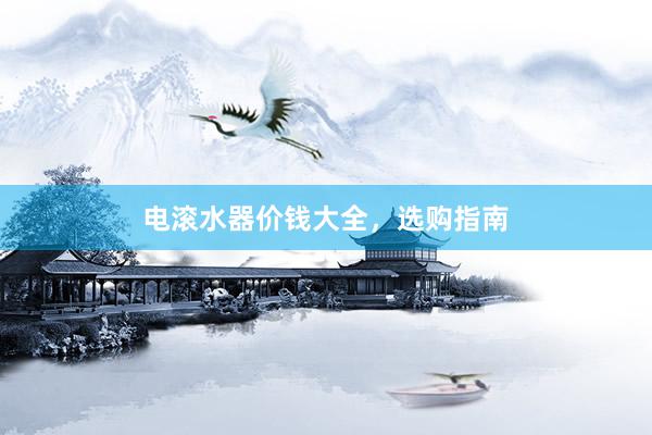 电滚水器价钱大全，选购指南