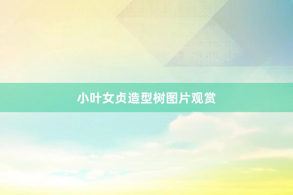 小叶女贞造型树图片观赏