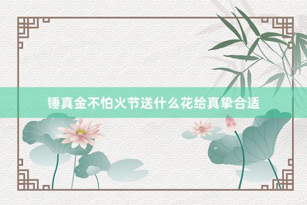 锤真金不怕火节送什么花给真挚合适