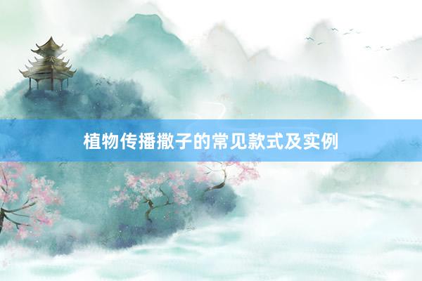 植物传播撒子的常见款式及实例