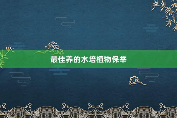 最佳养的水培植物保举
